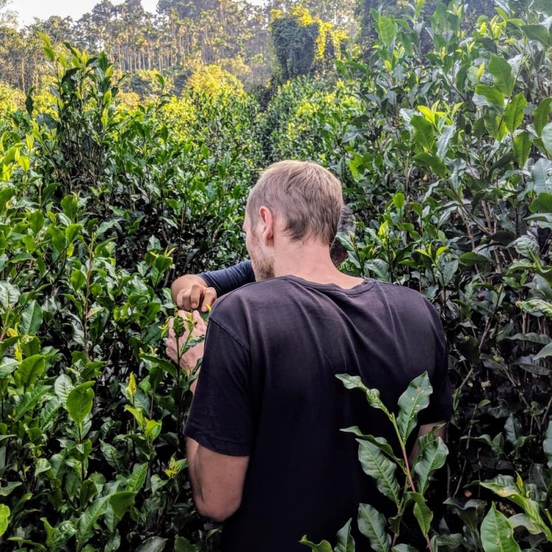 Gregor standing in the black jungle tea